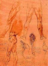 Haga click para ver la imagen ampliada estudios de piernas y pata de caballo.jpg